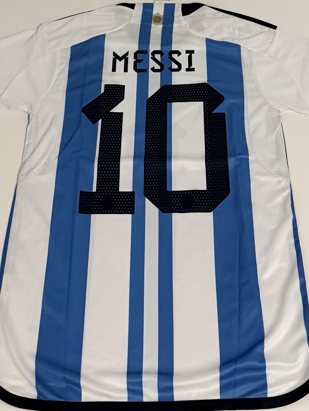 Argentina Lionel Messi #10 Soccer Jersey